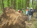 Maibaum_2018 (37)